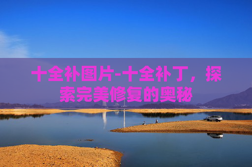 十全补图片-十全补丁，探索完美修复的奥秘
