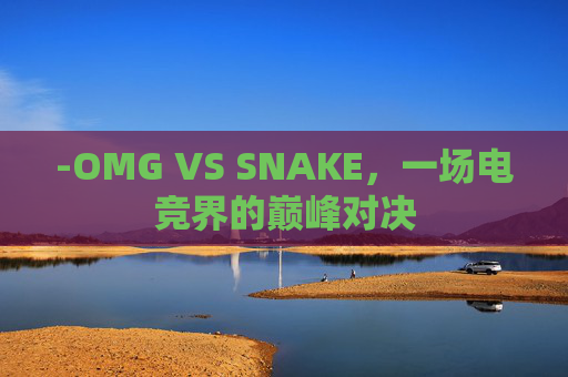 -OMG VS SNAKE，一场电竞界的巅峰对决