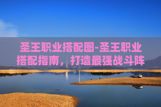 圣王职业搭配图-圣王职业搭配指南，打造最强战斗阵容