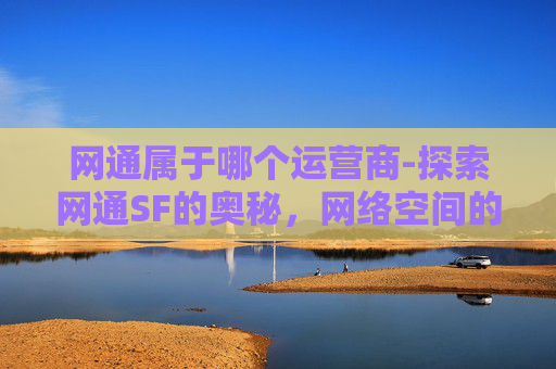 网通属于哪个运营商-探索网通SF的奥秘，网络空间的自由与挑战