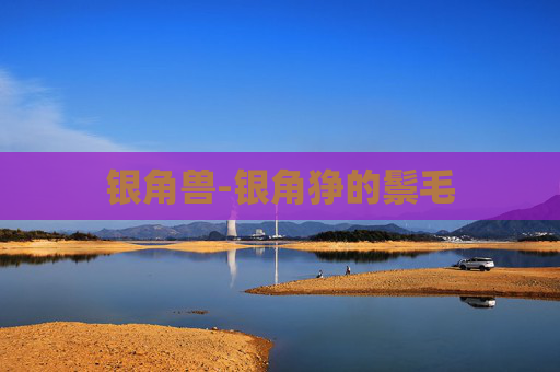 银角兽-银角狰的鬃毛 银角兽-银角狰的鬃毛