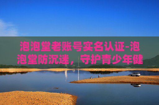 泡泡堂老账号实名认证-泡泡堂防沉迷，守护青少年健康成长的防线