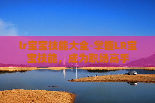 lr宝宝技能大全-掌握LR宝宝技能，成为职场高手