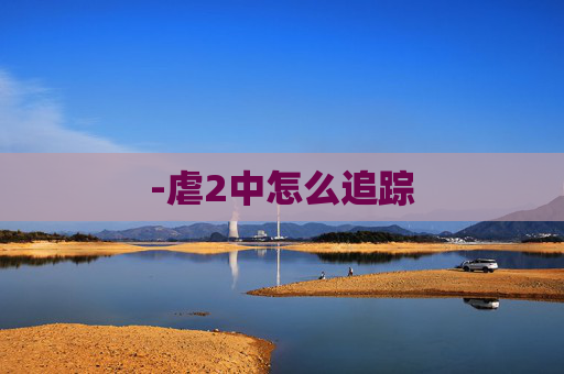 -虐2中怎么追踪