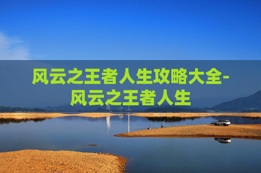 风云之王者人生攻略大全-风云之王者人生