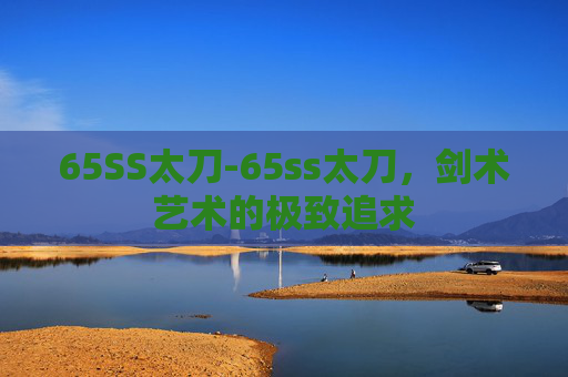65SS太刀-65ss太刀，剑术艺术的极致追求