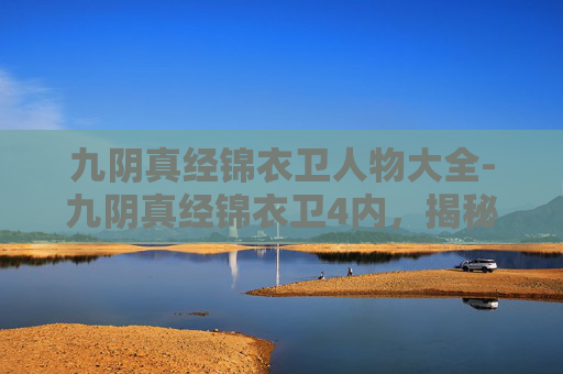 九阴真经锦衣卫人物大全-九阴真经锦衣卫4内，揭秘江湖中的隐秘力量