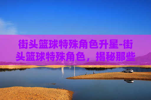 街头篮球特殊角色升星-街头篮球特殊角色，揭秘那些隐藏在街球场上的传奇人物