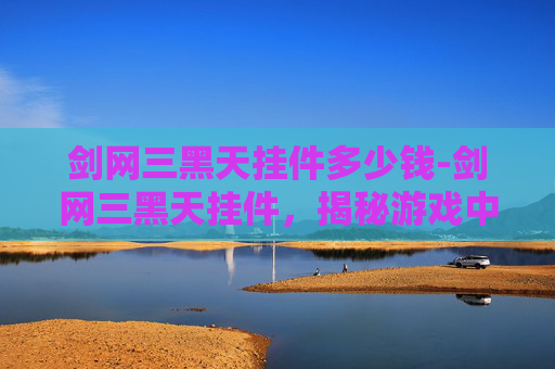 剑网三黑天挂件多少钱-剑网三黑天挂件，揭秘游戏中的神秘装备