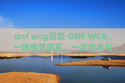 dnf wcg冠军-DNF WCG，一场电竞盛宴，一次技术与激情的碰撞