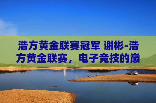 浩方黄金联赛冠军 谢彬-浩方黄金联赛,电子竞技的巅峰对决 浩方黄金联赛冠军 谢彬-浩方黄金联赛,电子竞技的巅峰对决
