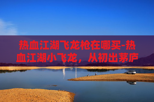 热血江湖飞龙枪在哪买-热血江湖小飞龙，从初出茅庐到江湖霸主的传奇之路