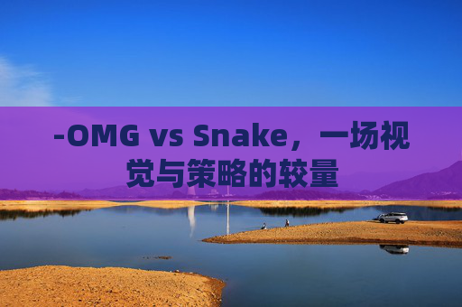 -OMG vs Snake，一场视觉与策略的较量