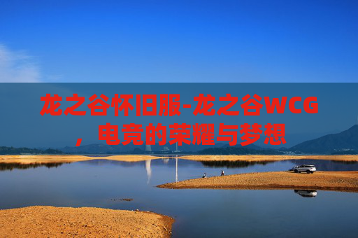 龙之谷怀旧服-龙之谷WCG，电竞的荣耀与梦想