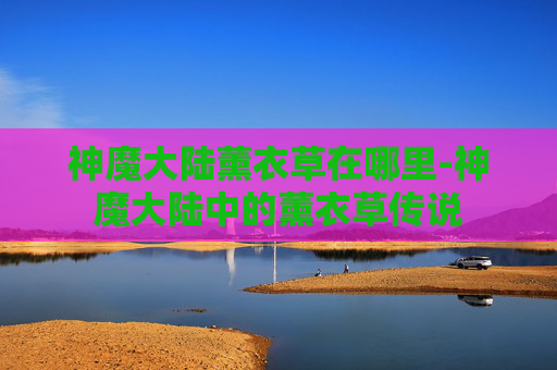 神魔大陆薰衣草在哪里-神魔大陆中的薰衣草传说
