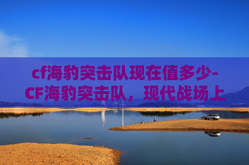 cf海豹突击队现在值多少-CF海豹突击队，现代战场上的精英力量