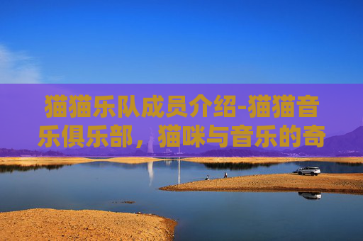 猫猫乐队成员介绍-猫猫音乐俱乐部，猫咪与音乐的奇妙邂逅