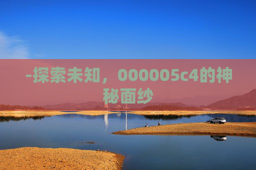 -探索未知，000005c4的神秘面纱