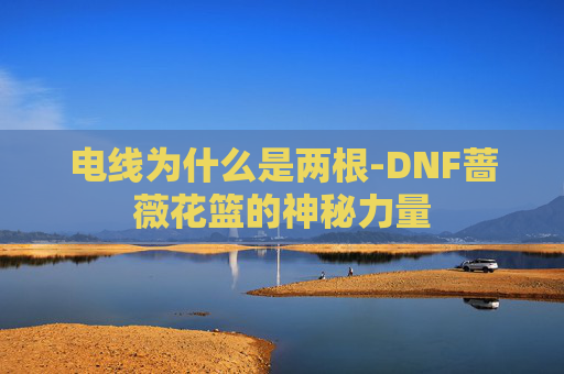 电线为什么是两根-DNF蔷薇花篮的神秘力量