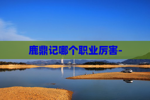 鹿鼎记哪个职业厉害-