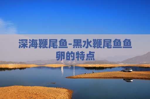 深海鞭尾鱼-黑水鞭尾鱼鱼卵的特点