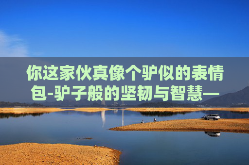 你这家伙真像个驴似的表情包-驴子般的坚韧与智慧——生活中的不屈精神