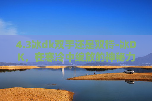 4.3冰dk双手还是双持-冰DK，在寒冷中绽放的神秘力量
