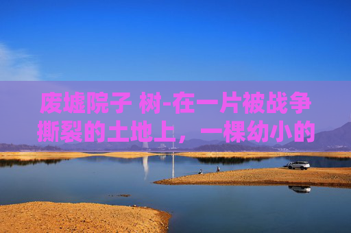 废墟院子 树-在一片被战争撕裂的土地上，一棵幼小的树苗顽强地从瓦砾中探出头来。它见证了历史的残酷，目睹了家园的毁灭，却依然执着地生长着。这棵树，就像一位无声的见证者，记录着过往的悲欢离合，诉说着废墟上的希望与坚韧