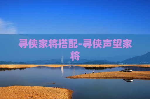 寻侠家将搭配-寻侠声望家将