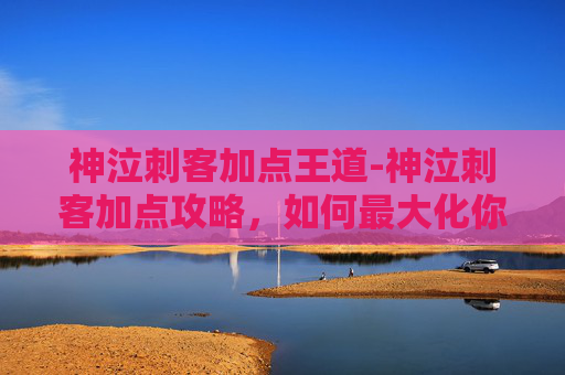 神泣刺客加点王道-神泣刺客加点攻略，如何最大化你的输出与生存能力