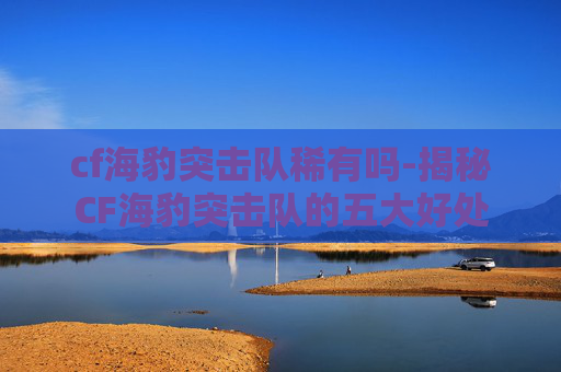 cf海豹突击队稀有吗-揭秘CF海豹突击队的五大好处
