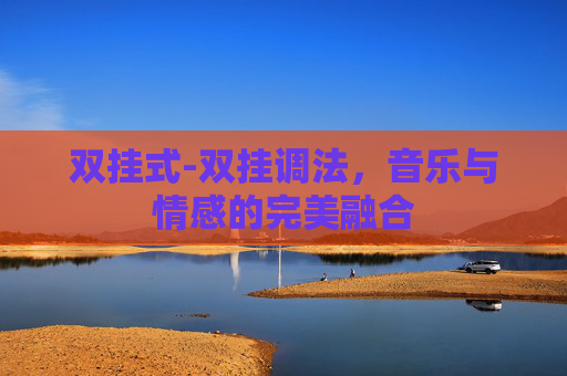 双挂式-双挂调法，音乐与情感的完美融合