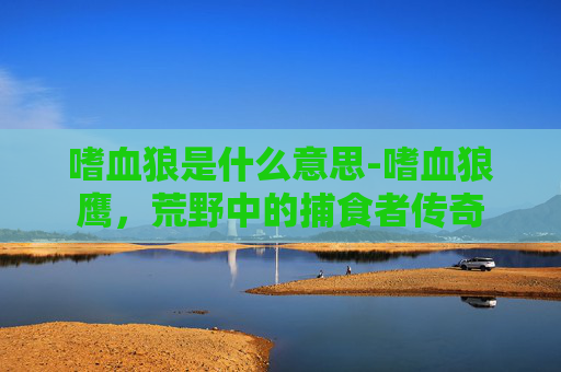 嗜血狼是什么意思-嗜血狼鹰，荒野中的捕食者传奇