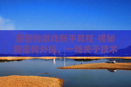 新密传游戏新手教程-揭秘新密传外挂，一场关于技术与道德的较量