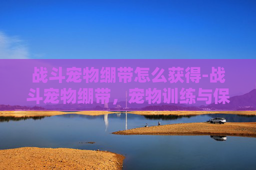 战斗宠物绷带怎么获得-战斗宠物绷带，宠物训练与保护的完美结合