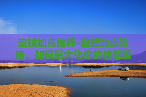 盗贼加点推荐-盗贼加点策略，如何最大化你的技能组合