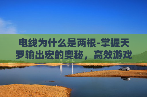 电线为什么是两根-掌握天罗输出宏的奥秘，高效游戏技巧与策略