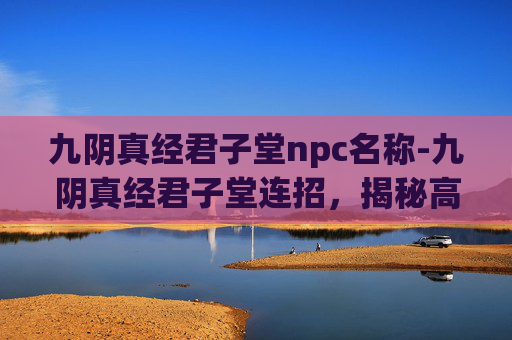 九阴真经君子堂npc名称-九阴真经君子堂连招，揭秘高手对决中的华丽技巧