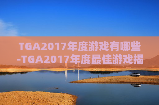 TGA2017年度游戏有哪些-TGA2017年度最佳游戏揭晓，创新与经典共舞，玩家期待的盛宴
