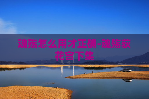 魂殇怎么用才正确-魂殇荻花宫下集