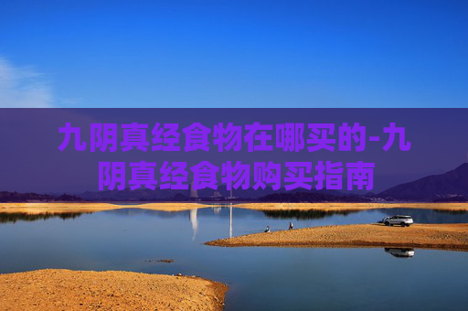 九阴真经食物在哪买的-九阴真经食物购买指南