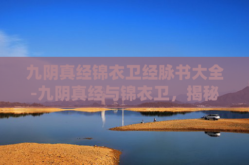 九阴真经锦衣卫经脉书大全-九阴真经与锦衣卫，揭秘武侠世界中的神秘经脉系统