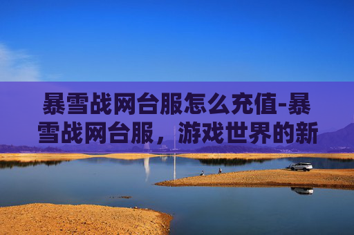 暴雪战网台服怎么充值-暴雪战网台服，游戏世界的新篇章