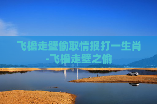 飞檐走壁偷取情报打一生肖-飞檐走壁之偷
