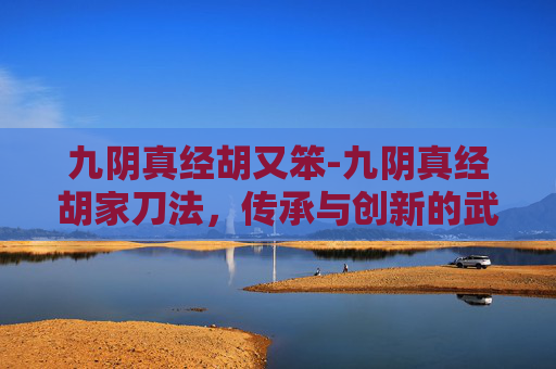 九阴真经胡又笨-九阴真经胡家刀法，传承与创新的武术瑰宝