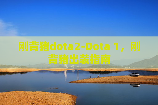 刚背猪dota2-Dota 1，刚背猪出装指南