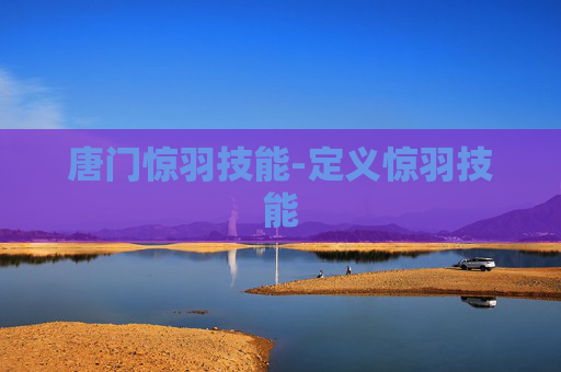 唐门惊羽技能-定义惊羽技能