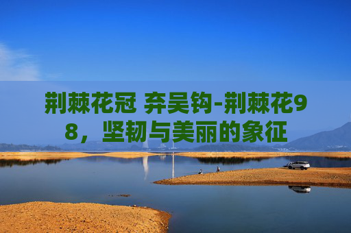 荆棘花冠 弃吴钩-荆棘花98,坚韧与美丽的象征 荆棘花冠 弃吴钩-荆棘花98,坚韧与美丽的象征