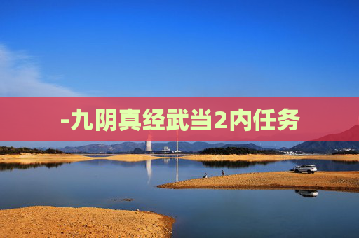 -九阴真经武当2内任务