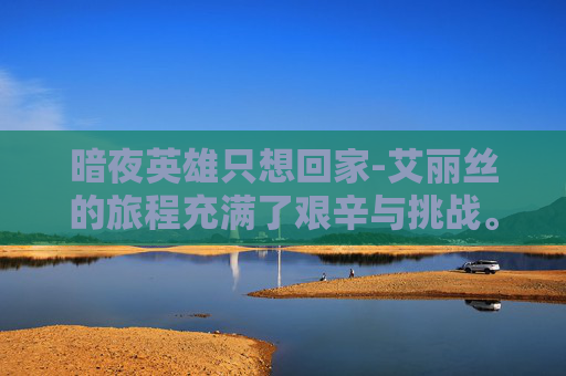 暗夜英雄只想回家-艾丽丝的旅程充满了艰辛与挑战。她穿越了茫茫雪原，跋涉过险峻的山脉，甚至面对了野兽的威胁和恶劣的天气。但她从未放弃，因为她相信，只有找到那束传说中的光，才能拯救她的家乡和人民